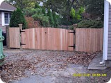 SDC10026_lg